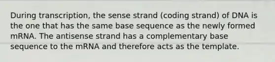 During transcription, the sense strand (coding strand) of DNA is the one that has the same base sequence as the newly formed mRNA. The antisense strand has a complementary base sequence to the mRNA and therefore acts as the template.