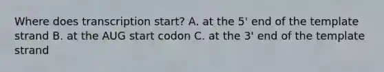 Where does transcription start? A. at the 5' end of the template strand B. at the AUG start codon C. at the 3' end of the template strand