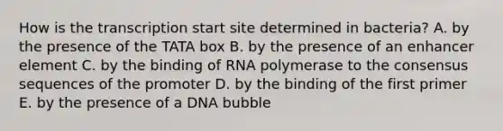 How is the transcription start site determined in bacteria? A. by the presence of the TATA box B. by the presence of an enhancer element C. by the binding of RNA polymerase to the consensus sequences of the promoter D. by the binding of the first primer E. by the presence of a DNA bubble