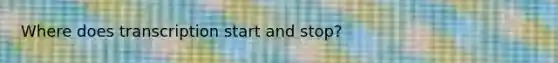 Where does transcription start and stop?