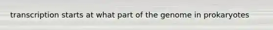 transcription starts at what part of the genome in prokaryotes