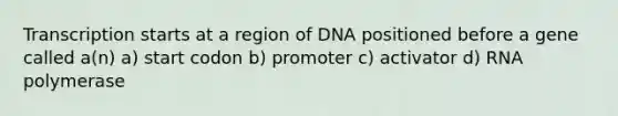 Transcription starts at a region of DNA positioned before a gene called a(n) a) start codon b) promoter c) activator d) RNA polymerase