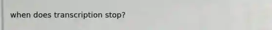 when does transcription stop?