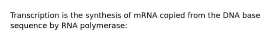 Transcription is the synthesis of mRNA copied from the DNA base sequence by RNA polymerase: