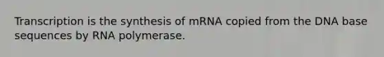 Transcription is the synthesis of mRNA copied from the DNA base sequences by RNA polymerase.