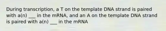 During transcription, a T on the template DNA strand is paired with a(n) ___ in the mRNA, and an A on the template DNA strand is paired with a(n) ___ in the mRNA