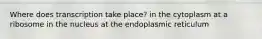 Where does transcription take place? in the cytoplasm at a ribosome in the nucleus at the endoplasmic reticulum