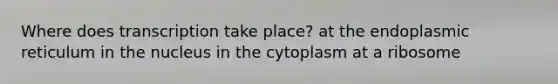 Where does transcription take place? at the endoplasmic reticulum in the nucleus in the cytoplasm at a ribosome