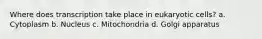 Where does transcription take place in eukaryotic cells? a. Cytoplasm b. Nucleus c. Mitochondria d. Golgi apparatus