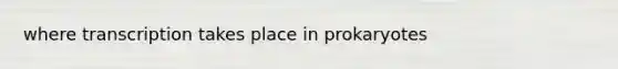 where transcription takes place in prokaryotes