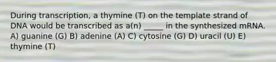 During transcription, a thymine (T) on the template strand of DNA would be transcribed as a(n) _____ in the synthesized mRNA. A) guanine (G) B) adenine (A) C) cytosine (G) D) uracil (U) E) thymine (T)