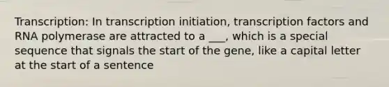 Transcription: In transcription initiation, transcription factors and RNA polymerase are attracted to a ___, which is a special sequence that signals the start of the gene, like a capital letter at the start of a sentence