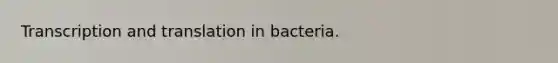 <a href='https://www.questionai.com/knowledge/kWsjwWywkN-transcription-and-translation' class='anchor-knowledge'>transcription and translation</a> in bacteria.