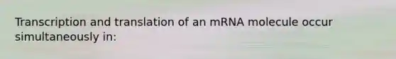 Transcription and translation of an mRNA molecule occur simultaneously in: