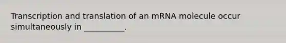 Transcription and translation of an mRNA molecule occur simultaneously in __________.