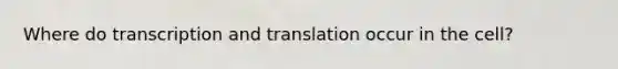 Where do transcription and translation occur in the cell?