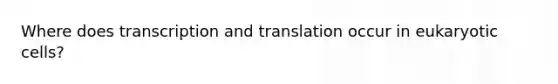 Where does transcription and translation occur in eukaryotic cells?