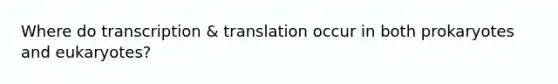 Where do transcription & translation occur in both prokaryotes and eukaryotes?