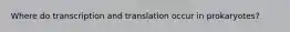 Where do transcription and translation occur in prokaryotes?