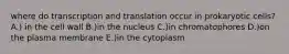 where do transcription and translation occur in prokaryotic cells? A.) in the cell wall B.)in the nucleus C.)in chromatophores D.)on the plasma membrane E.)in the cytoplasm