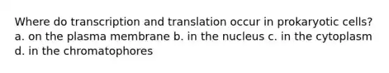 Where do transcription and translation occur in prokaryotic cells? a. on the plasma membrane b. in the nucleus c. in the cytoplasm d. in the chromatophores