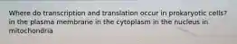 Where do transcription and translation occur in prokaryotic cells? in the plasma membrane in the cytoplasm in the nucleus in mitochondria