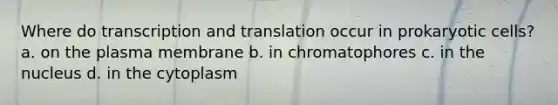 Where do <a href='https://www.questionai.com/knowledge/kWsjwWywkN-transcription-and-translation' class='anchor-knowledge'>transcription and translation</a> occur in <a href='https://www.questionai.com/knowledge/k1BuXhIsgo-prokaryotic-cells' class='anchor-knowledge'>prokaryotic cells</a>? a. on the plasma membrane b. in chromatophores c. in the nucleus d. in the cytoplasm