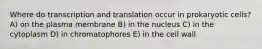 Where do transcription and translation occur in prokaryotic cells? A) on the plasma membrane B) in the nucleus C) in the cytoplasm D) in chromatophores E) in the cell wall