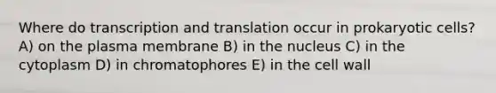 Where do transcription and translation occur in prokaryotic cells? A) on the plasma membrane B) in the nucleus C) in the cytoplasm D) in chromatophores E) in the cell wall