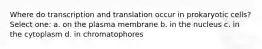 Where do transcription and translation occur in prokaryotic cells? Select one: a. on the plasma membrane b. in the nucleus c. in the cytoplasm d. in chromatophores