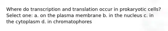 Where do <a href='https://www.questionai.com/knowledge/kWsjwWywkN-transcription-and-translation' class='anchor-knowledge'>transcription and translation</a> occur in prokaryotic cells? Select one: a. on the plasma membrane b. in the nucleus c. in the cytoplasm d. in chromatophores