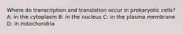 Where do transcription and translation occur in prokaryotic cells? A: in the cytoplasm B: in the nucleus C: in the plasma membrane D: in mitochondria