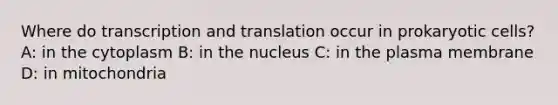 Where do transcription and translation occur in prokaryotic cells? A: in the cytoplasm B: in the nucleus C: in the plasma membrane D: in mitochondria