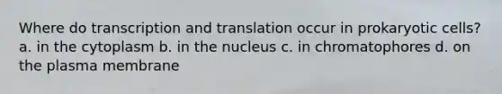 Where do transcription and translation occur in prokaryotic cells? a. in the cytoplasm b. in the nucleus c. in chromatophores d. on the plasma membrane