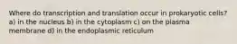 Where do transcription and translation occur in prokaryotic cells? a) in the nucleus b) in the cytoplasm c) on the plasma membrane d) in the endoplasmic reticulum