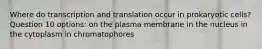 Where do transcription and translation occur in prokaryotic cells? Question 10 options: on the plasma membrane in the nucleus in the cytoplasm in chromatophores