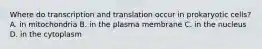 Where do transcription and translation occur in prokaryotic cells? A. in mitochondria B. in the plasma membrane C. in the nucleus D. in the cytoplasm