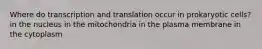 Where do transcription and translation occur in prokaryotic cells? in the nucleus in the mitochondria in the plasma membrane in the cytoplasm