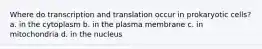 Where do transcription and translation occur in prokaryotic cells? a. in the cytoplasm b. in the plasma membrane c. in mitochondria d. in the nucleus