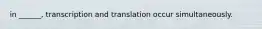 in ______, transcription and translation occur simultaneously.