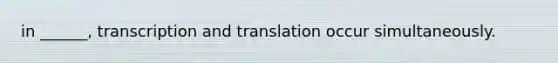 in ______, transcription and translation occur simultaneously.