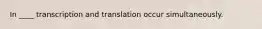 In ____ transcription and translation occur simultaneously.