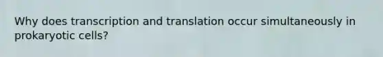 Why does transcription and translation occur simultaneously in prokaryotic cells?