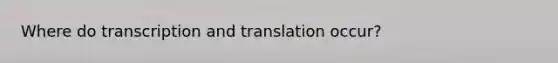 Where do transcription and translation occur?