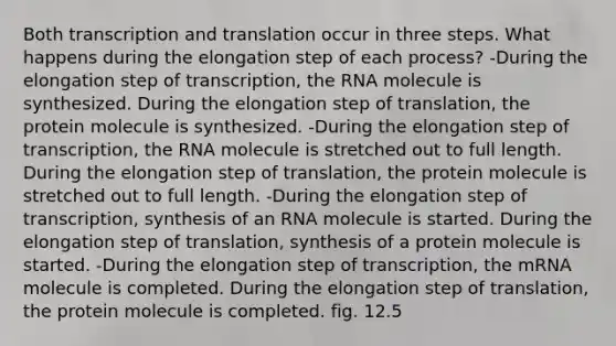 Both transcription and translation occur in three steps. What happens during the elongation step of each process? -During the elongation step of transcription, the RNA molecule is synthesized. During the elongation step of translation, the protein molecule is synthesized. -During the elongation step of transcription, the RNA molecule is stretched out to full length. During the elongation step of translation, the protein molecule is stretched out to full length. -During the elongation step of transcription, synthesis of an RNA molecule is started. During the elongation step of translation, synthesis of a protein molecule is started. -During the elongation step of transcription, the mRNA molecule is completed. During the elongation step of translation, the protein molecule is completed. fig. 12.5