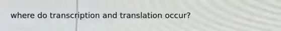 where do transcription and translation occur?