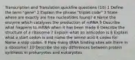 Transcription and Translation quickfire questions (10) 1 Define the term "gene" 2 Explain the phrase "triplet code" 3 State where are exactly are free nucleotides found? 4 Name the enzyme which catalyses the production of mRNA 5 Describe what happens to mRNA when it has been made 6 Describe the structure of a ribosome 7 Explain what an anticodon is 8 Explain what a start codon is and name the amino acid it codes for. Name a stop codon. 9 How many tRNA binding sites are there in a ribosome? 10 Describe the key differences between protein synthesis in prokaryotes and eukaryotes