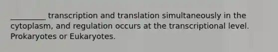 _________ transcription and translation simultaneously in the cytoplasm, and regulation occurs at the transcriptional level. Prokaryotes or Eukaryotes.