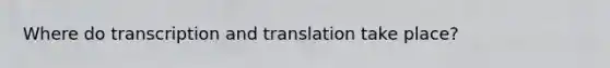 Where do transcription and translation take place?