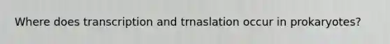 Where does transcription and trnaslation occur in prokaryotes?